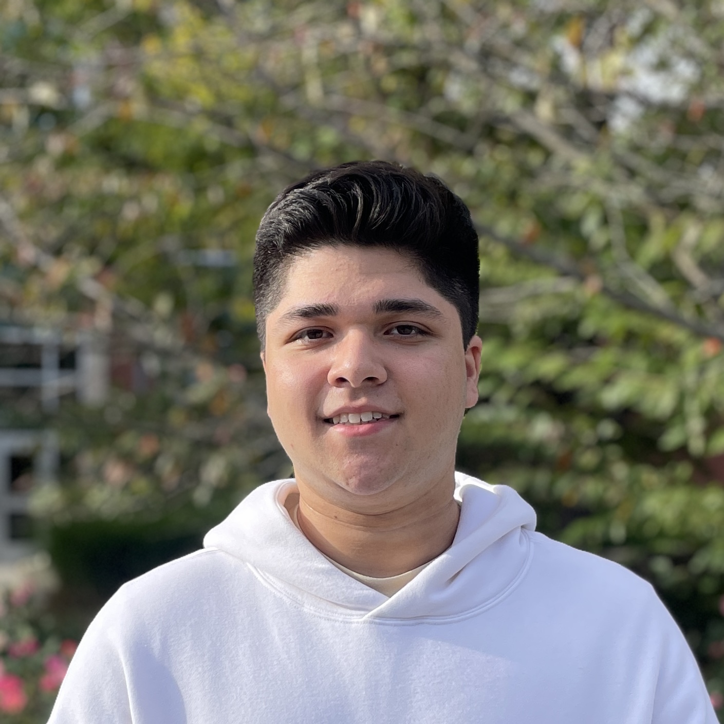 Ibrahim Koraishy headshot