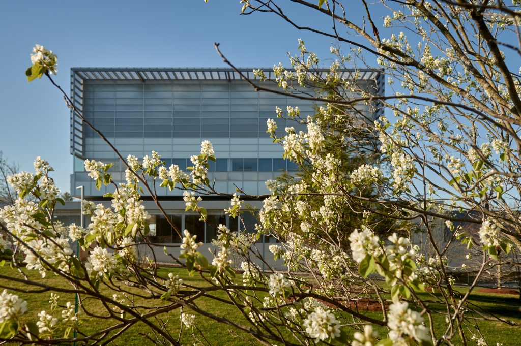 A view of flowering trees and the Innovation Partnership Building (IPB) on April 18, 2023